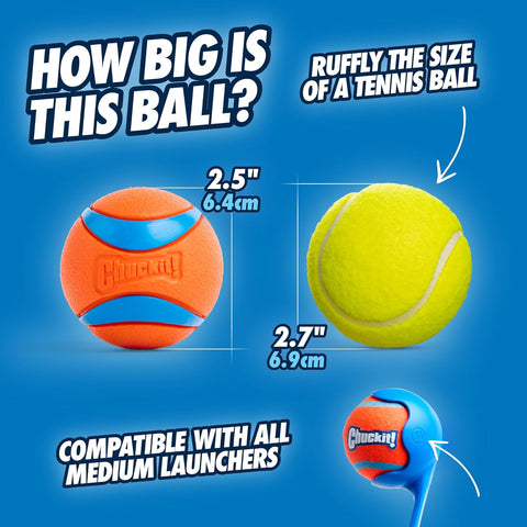 ChuckIt Ultra Ball Dog Toy 2 Pack Medium