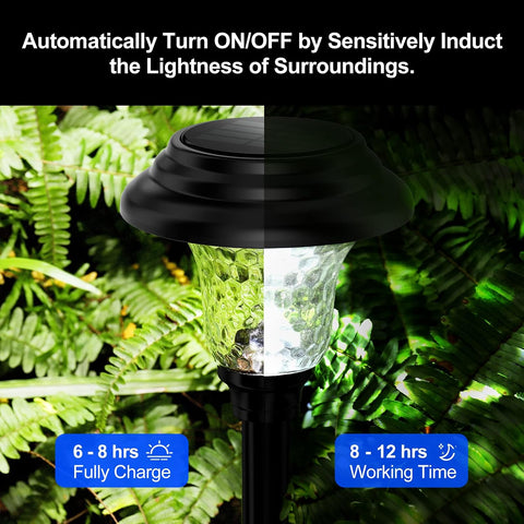 Balhvit Glass Solar Lights Outdoor, 2 Pack Super Bright Solar Pathway Lights, Up to 12 Hrs Long Last Auto On/Off Garden Lights Solar Powered Waterproof, Stainless Steel LED Landscape Lighting for Yard
