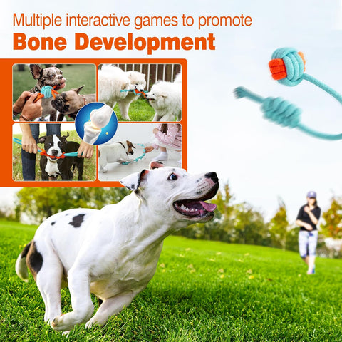 9 Pcs Interactive Puppy Toys for Teething and Tug of War