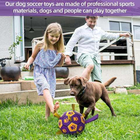 Interactive Dog Football Toy - Durable Water & Indoor Ball