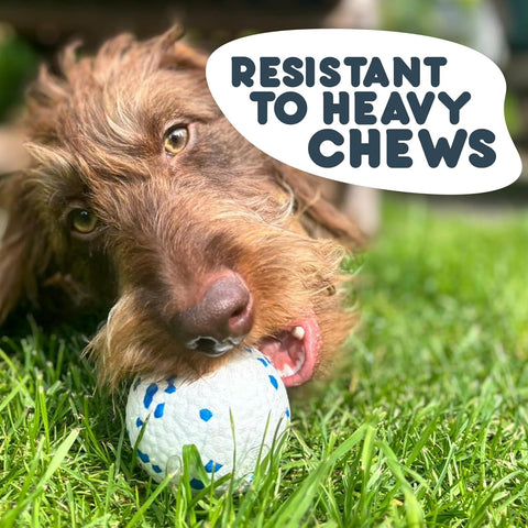 Petface Outdoor Paws Mighty Ball Dog Toy, Extra Strong, Medium (Pack of 2)