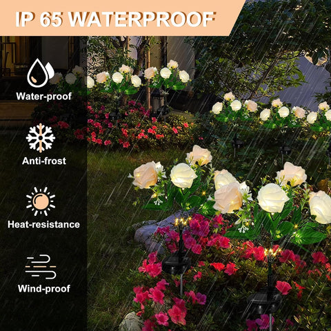 2 Pack Rose Solar Flower Outdoor Lights, Waterproof IP65 Garden Light, Rose Petal Design for Patio, Yard, Fence, Garden Ornament，Mother Birthday Gifts.（Champagne White ）