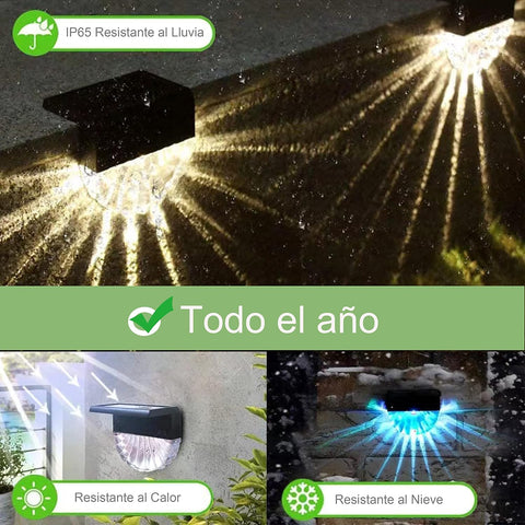 OneUan - 4 x Outdoor Solar Light Shell RGB Acrylic LED Solar Light for Garden, Fence, Patio and Steps, Waterproof IP65, Warm White + RGB Colour, 10 Lm, Pathway Lighting, Facades.