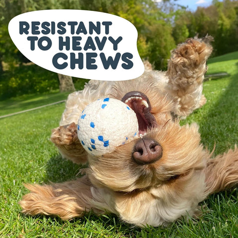 Petface Outdoor Paws Mighty Ball Dog Toy Large