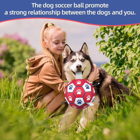 HETOO Dog Soccer Ball Interactive Toy for Small & Medium Dogs Red White 8 inch
