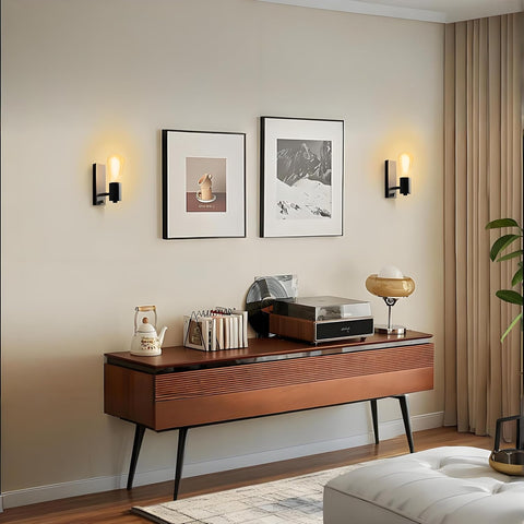 Black Dimmable Industrial Wall Lights with Switch 2 Pack