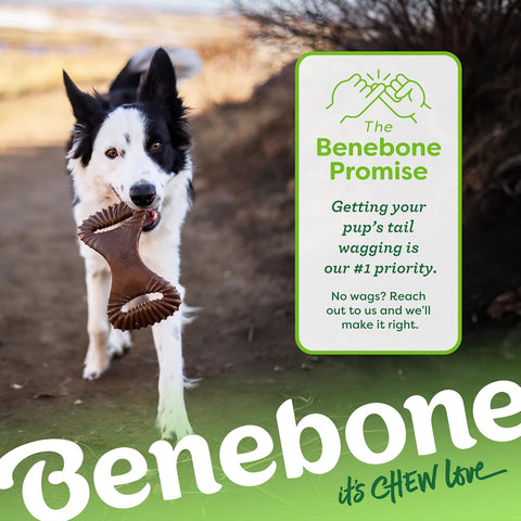Benebone Indestructible Dental Dog Chew Toy for Aggressive Chewers, Long Lasting Tough Boredom Breaker for Dogs, Real Chicken Flavour, For Small Dogs