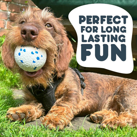 Petface Outdoor Paws Mighty Ball Dog Toy Large