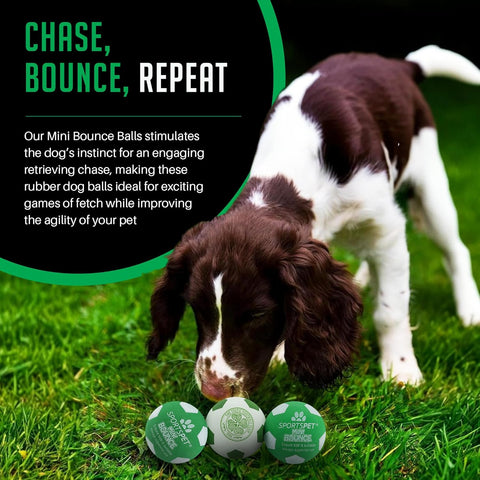 Small Dog Rubber Bounce Balls 4 Pack for Fetch and Play Green and White