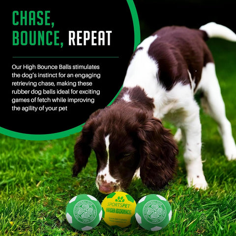 Sportspet Celtic High Bounce Dog Balls 12 Pack 60mm