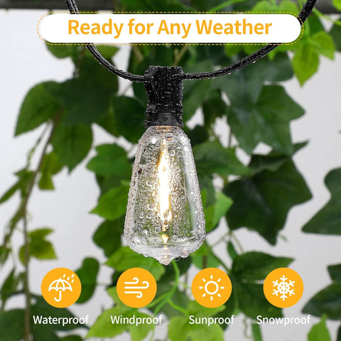 Vintage Filament Clear ST64 LED Bulb (Pack of 3)