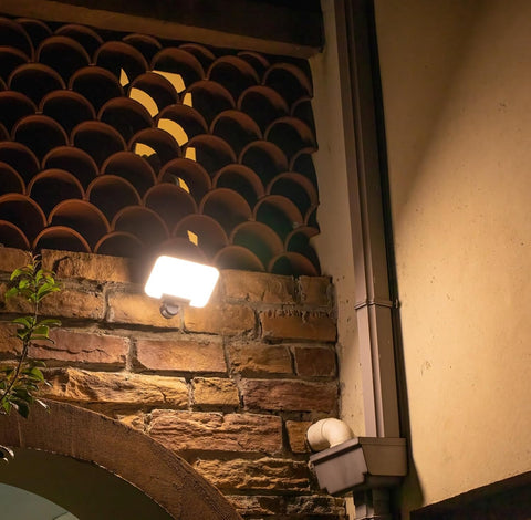 Cool white LED motion light for driveway UK


