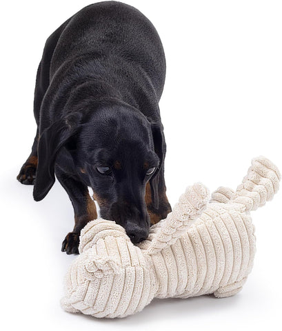 Zappi Co Bear Plush Dog Toy with Squeaker