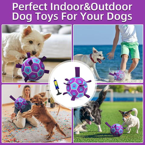 Interactive Dog Football Toy with Webbing 6 Inch