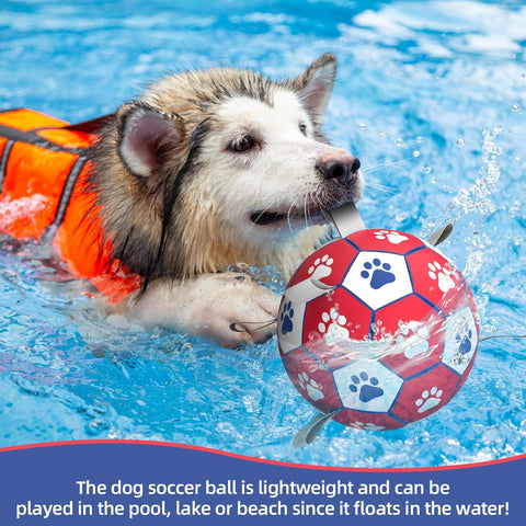 HETOO Dog Soccer Ball Interactive Toy for Small & Medium Dogs Red White 8 inch