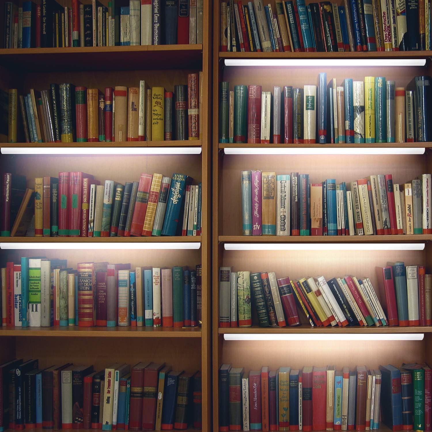 Bookshelf filled with books of various sizes and colors