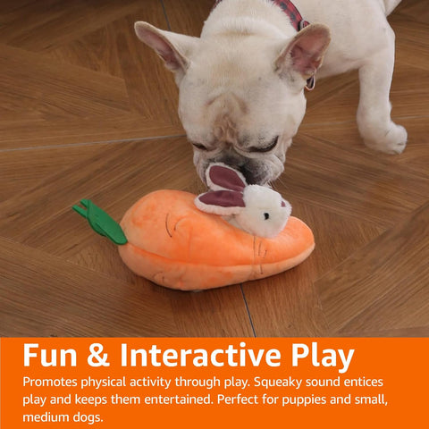 Rabbit and Carrot Plush Dog Toy Set 5 Pack