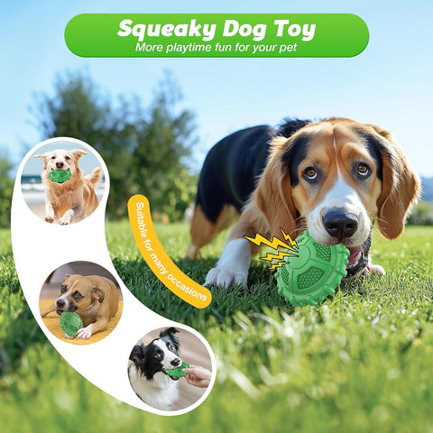 Indestructible Squeaky Dog Chew Toy for Aggressive Chewers