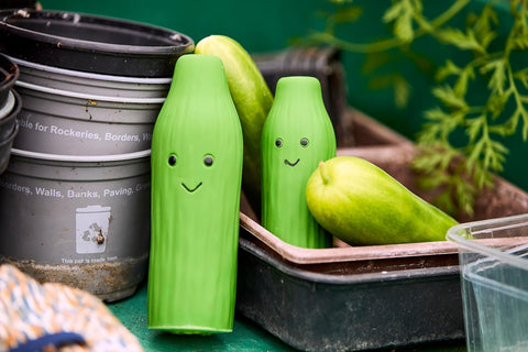 Petface Foodie Faces Cucumber Latex Dog Toy - Large