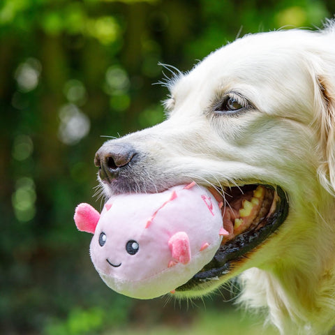 Petface Planet Pippa Puffa Fish Plush Dog Toy