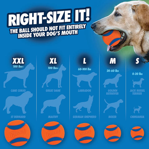 Chuckit Ultra Ball Dog Toy – Durable Rubber Fetch Balls, Large, Pack of 2
