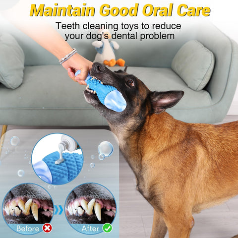 WinTour Tough Dog Toy for Aggressive Chewers – Indestructible Squeaky Chew Toy