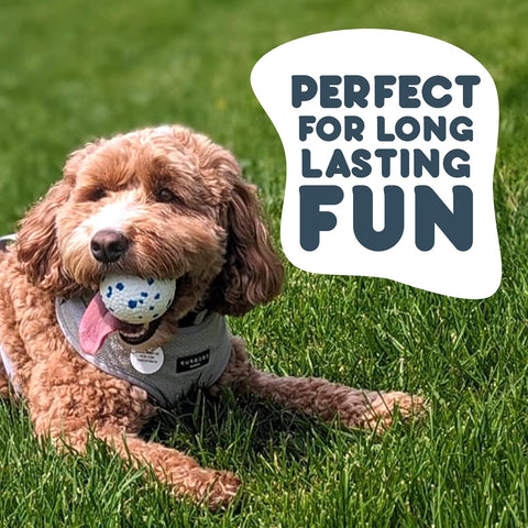 Petface Outdoor Paws Mighty Ball Dog Toy, Extra Strong, Medium (Pack of 2)