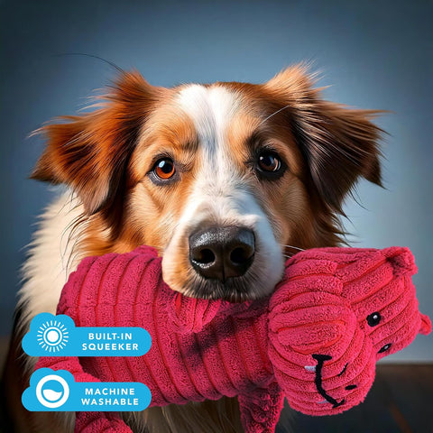 Pink Hippo Dragon Plush Dog Toy with Squeaker