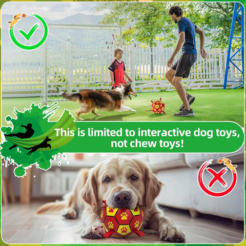 HETOO Interactive Dog Football Toy 6 Inch Durable Ball