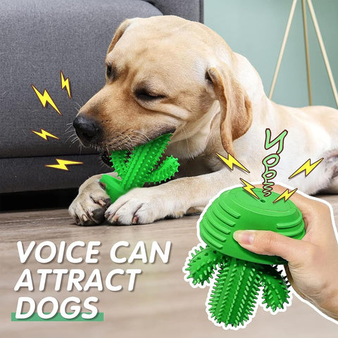 HETOO Dog Chew Toy Cactus for Aggressive Chewers