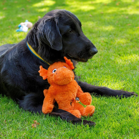 Petface Seriously Strong Plush Dragon Dog Toy