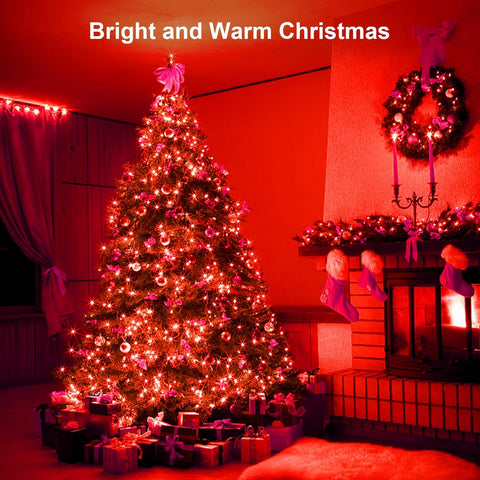 Battery Operated Waterproof Fairy String Lights with Timer, 3M 30 LED Decorative Lights for Indoor and Outdoor Use