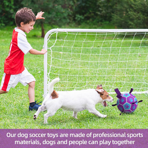 Interactive Dog Football Toy with Webbing 6 Inch