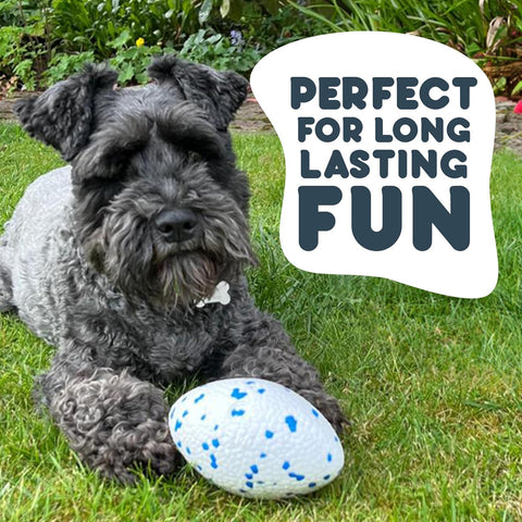 Petface Outdoor Paws Mighty Rugby Ball Dog Toy Extra Strong