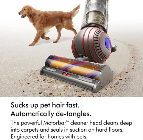 Dyson Ball Animal UP32 Vacuum Cleaner Nickel/Silver – Pet Hair Expert