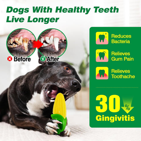 9 Pcs Indestructible Plush Squeaky Dog Toys for Small to Medium Dogs