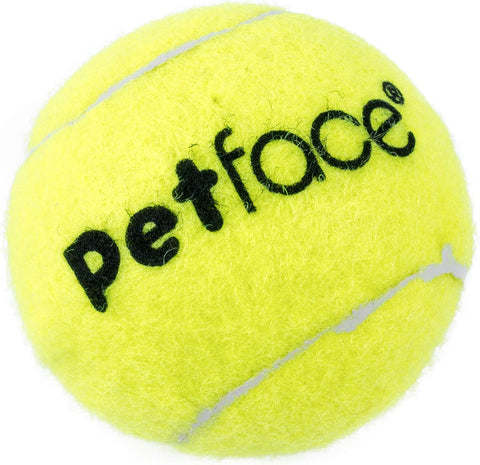 Petface Tennis Balls Dog Toy  6.5cm  20 Balls