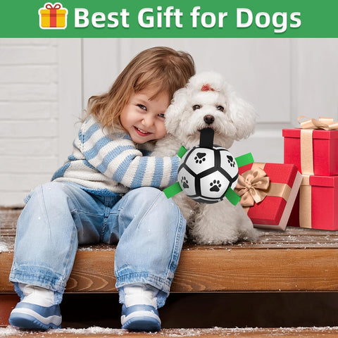 Small Dog Soccer Ball Toy – Interactive & Floating Small Medium Breed, Indoor & Outdoor (5 Inch)