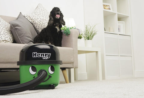 Henry Pet PET200 Bagged Cylinder Vacuum Cleaner 620W