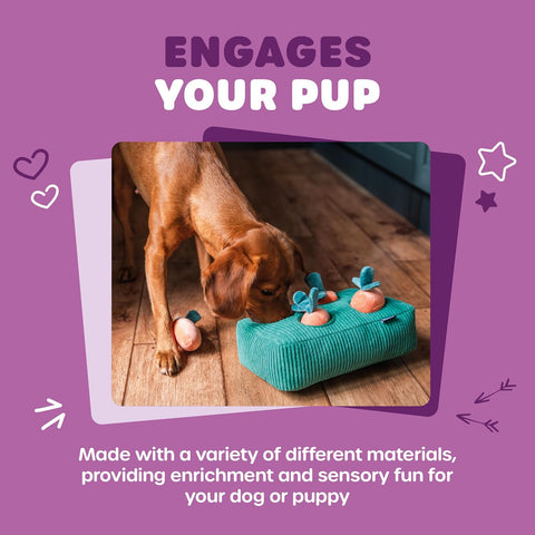 Webbox Carrot Patch Plush Dog Puzzle Toy