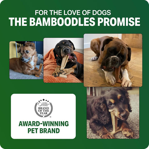 Bamboodles Dog Chew Toy – Small Beef Flavour