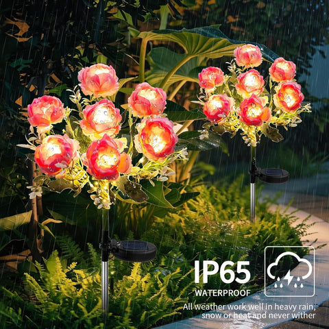 Joyoldelf Solar Lights Outdoor Waterproof, 2 Pack Pink Peony Flower Garden Lights with 7 Flowers, Warm White Decorative Pathway Lighting for Yard Patio Driveway, Solar Powered Landscape Lamp