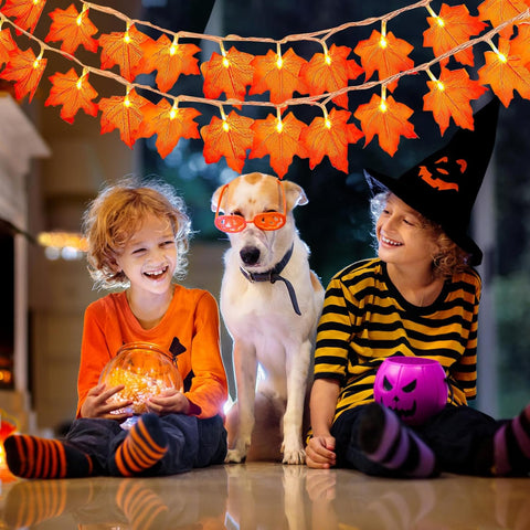 3M 20 LED Fall Maple Leaf Fairy Lights Autumn Garland Orange Leaves USB Powered Remote Indoor Window Home Autumn Decoration