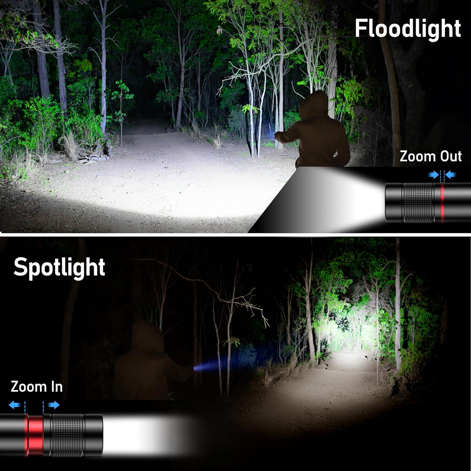 Comparison of floodlight and spotlight effects on a dark forest scene.