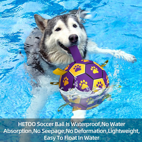 Interactive Dog Football Toy - Durable Water & Indoor Ball