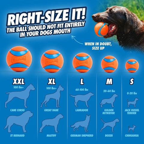 ChuckIt! Ultra Ball Dog Toy - Durable High Bounce XL