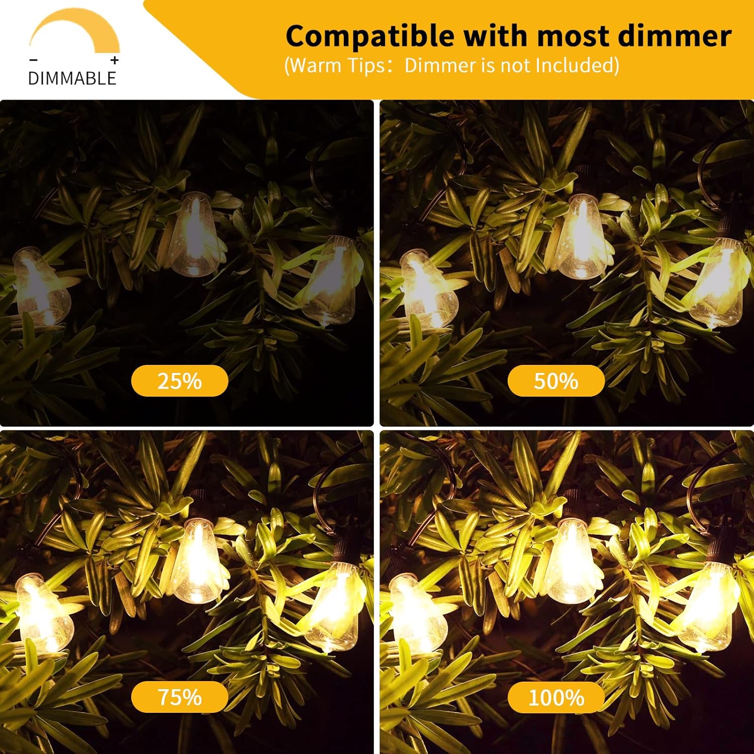 String lights with varying brightness levels on a dark background