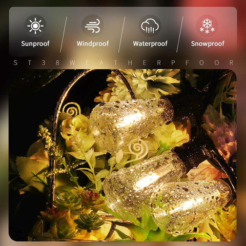 Decorative lights with flowers and leaves, weatherproof feature overlay