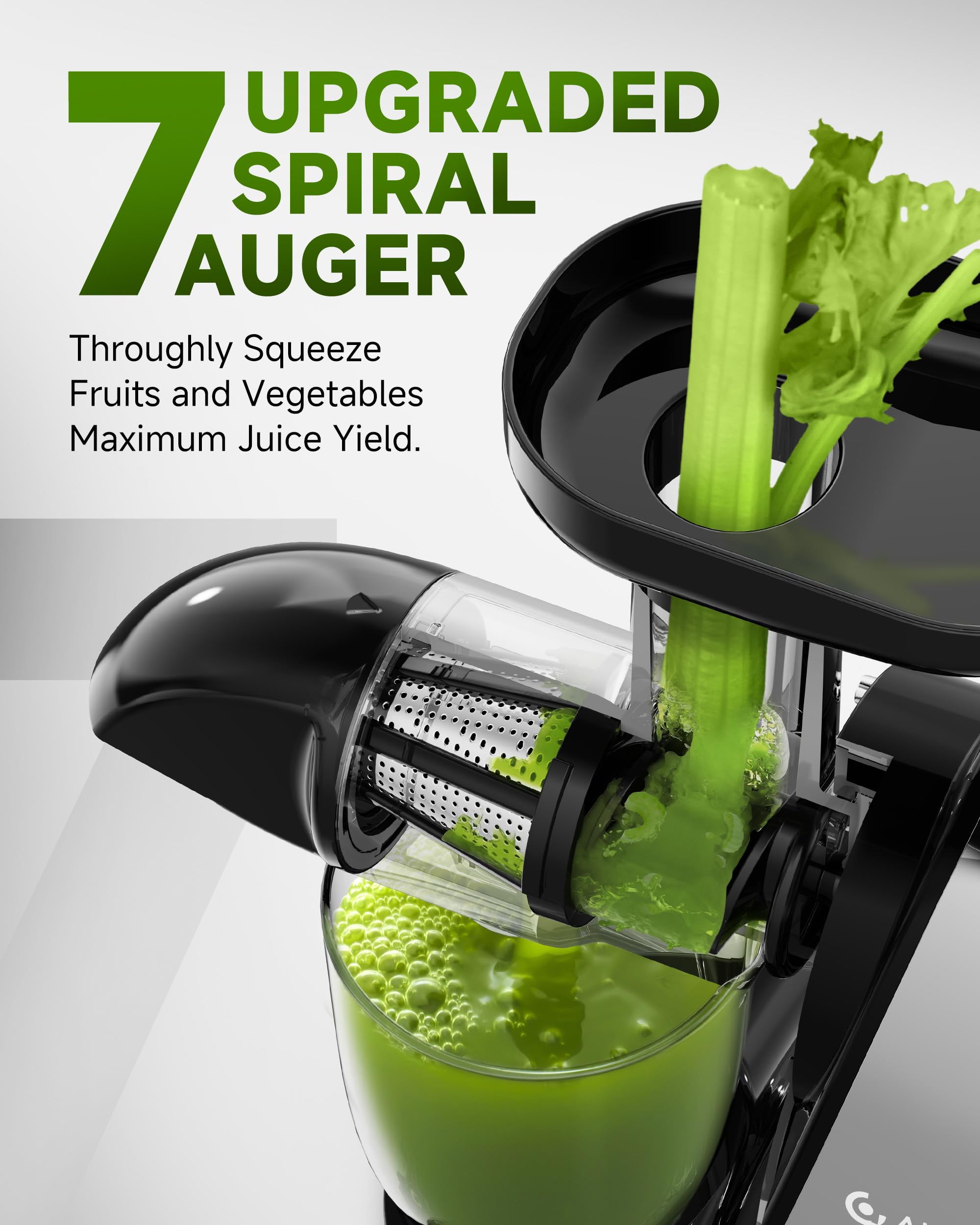 AMZCHEF Juicer Machines - Cold Press Slow Juicer - Masticating Juicer for Whole Fruits and Vegetables - Delicate Chew No Need to Filter - BPA Free Juice Extractor with 2 Cups and Brush - Black