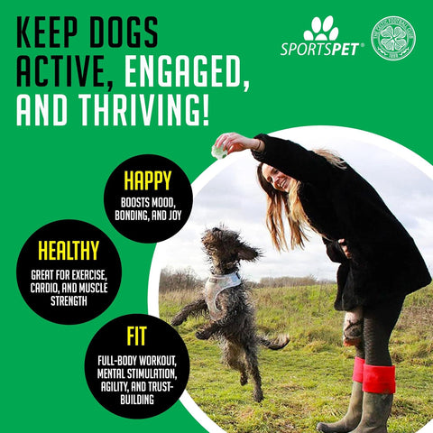 Sportspet Celtic Mini Bounce Dog Balls 4 Pack 44mm for Toy & Small Breeds